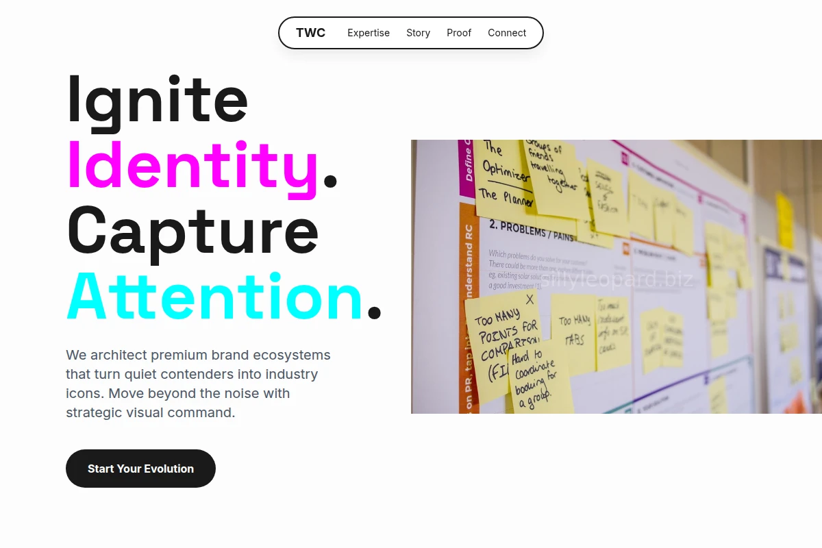 Vector Brand Strategy